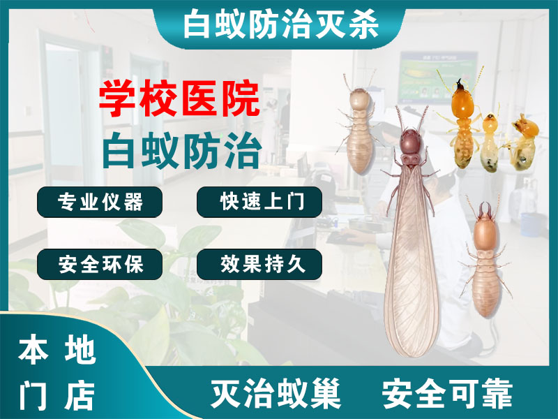 慈溪市学校医院白蚁防治