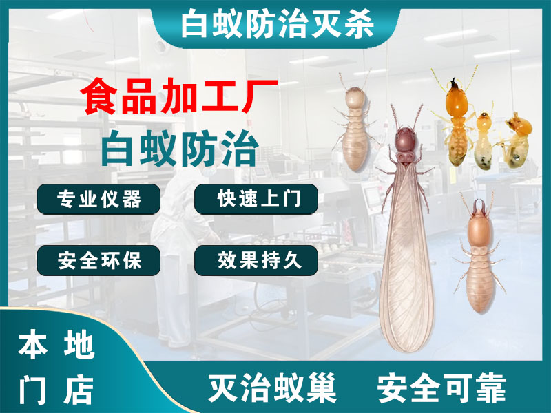 慈溪市食品加工厂白蚁防治