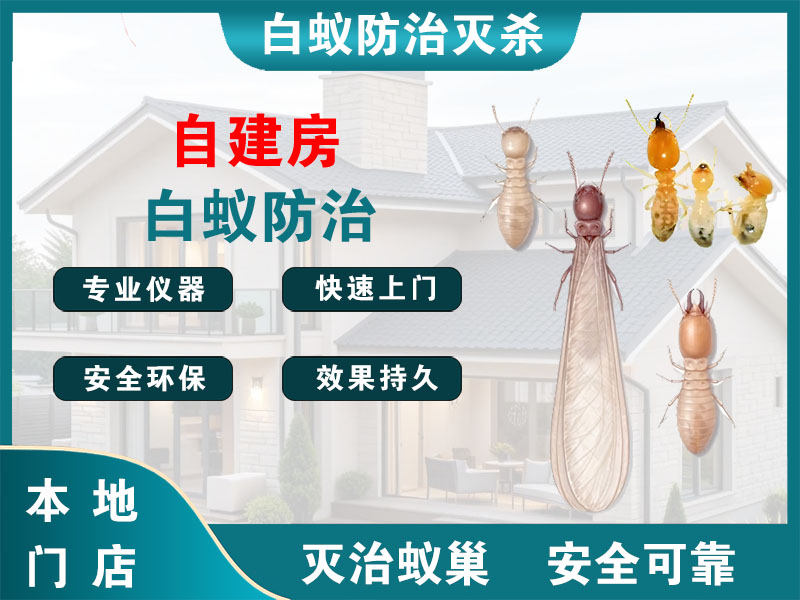 慈溪市自建房白蚁防治