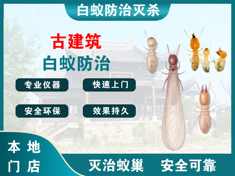 慈溪市古建筑白蚁防治