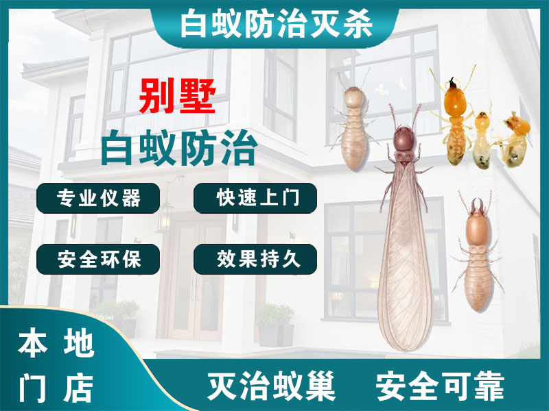 慈溪市别墅白蚁防治