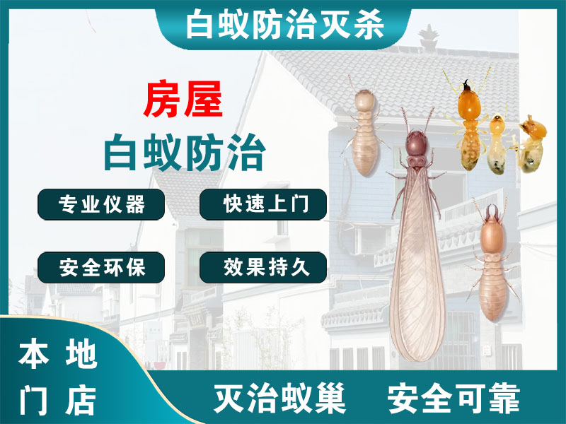 慈溪市房屋白蚁防治